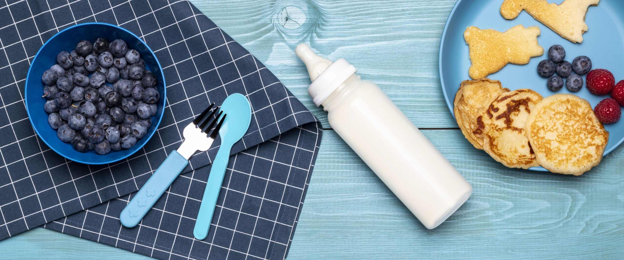 top view blueberries with baby bottle fruits scaled